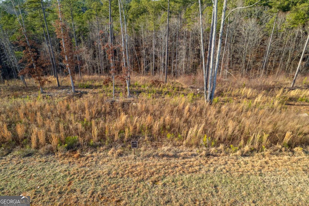 Lot 177 Shallow Water Way Talking Rock GA 30175
