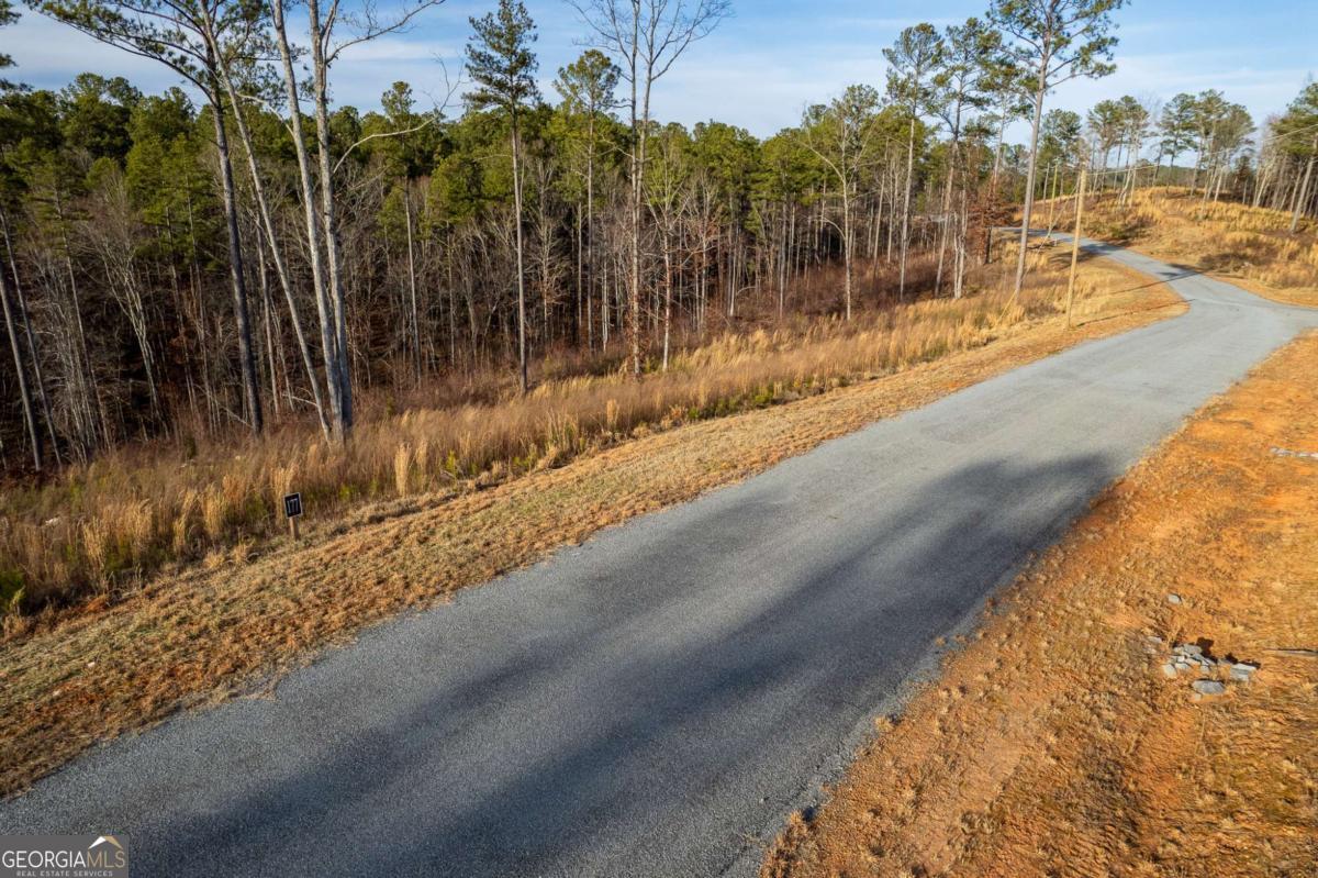 Lot 177 Shallow Water Way Talking Rock GA 30175