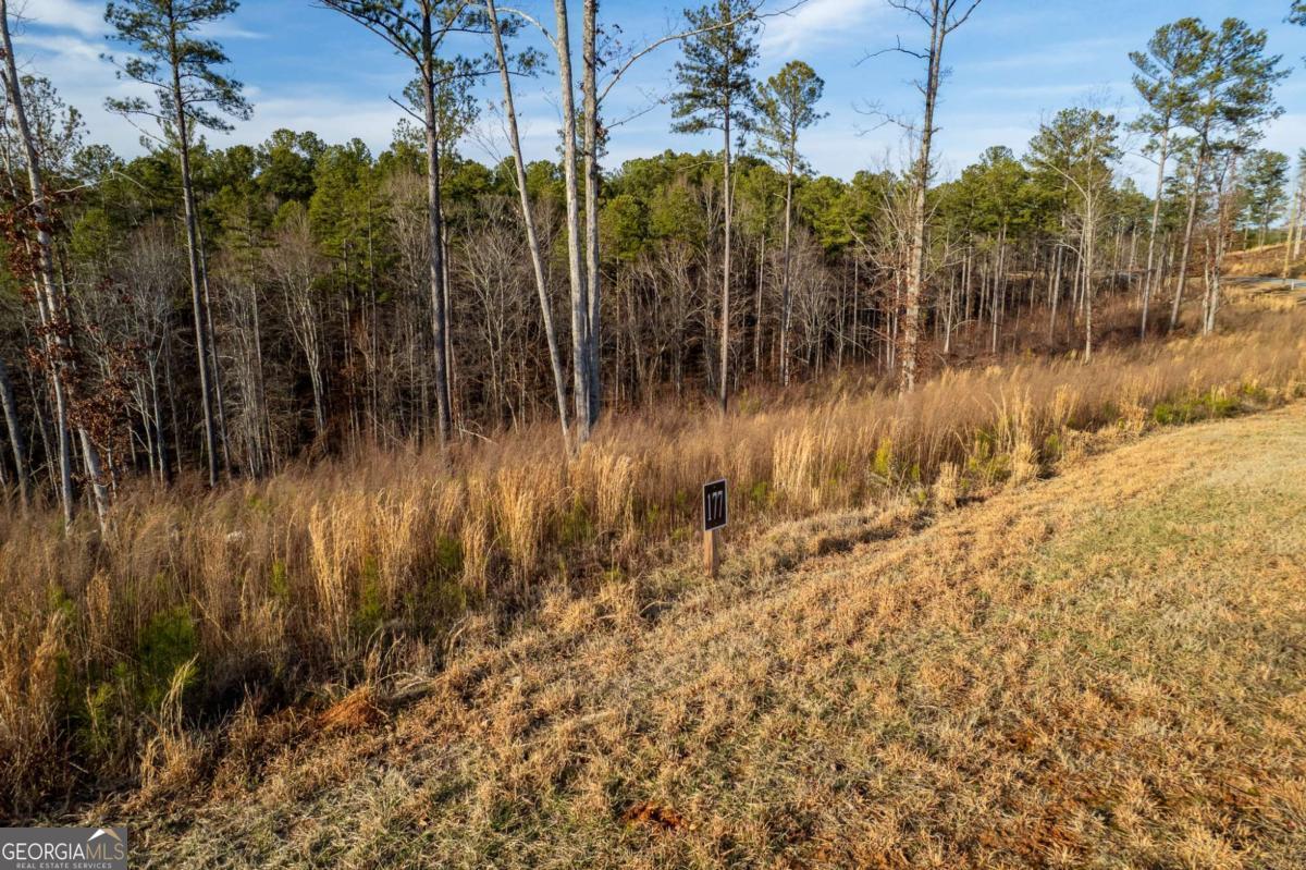 Lot 177 Shallow Water Way Talking Rock GA 30175