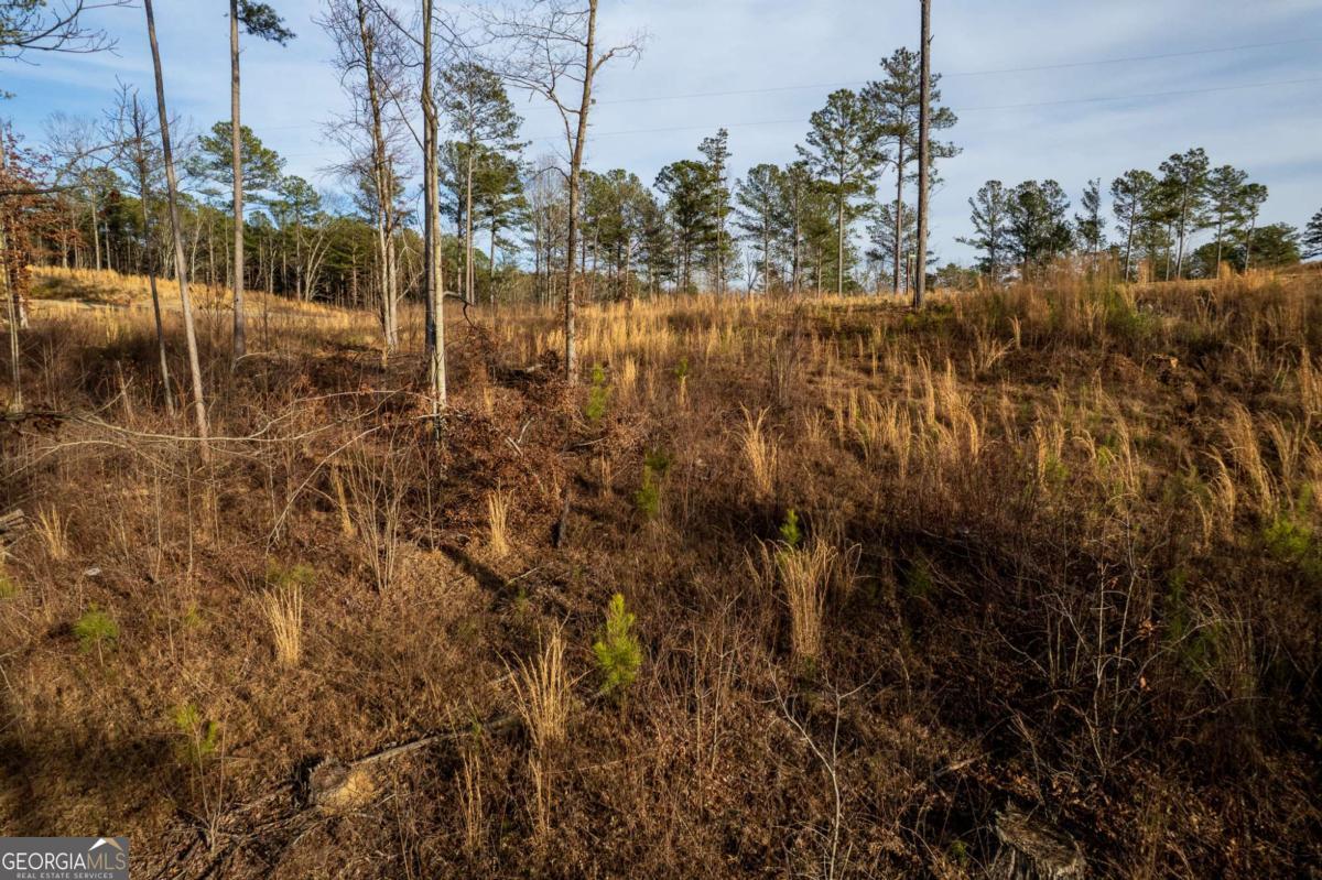 Lot 177 Shallow Water Way Talking Rock GA 30175