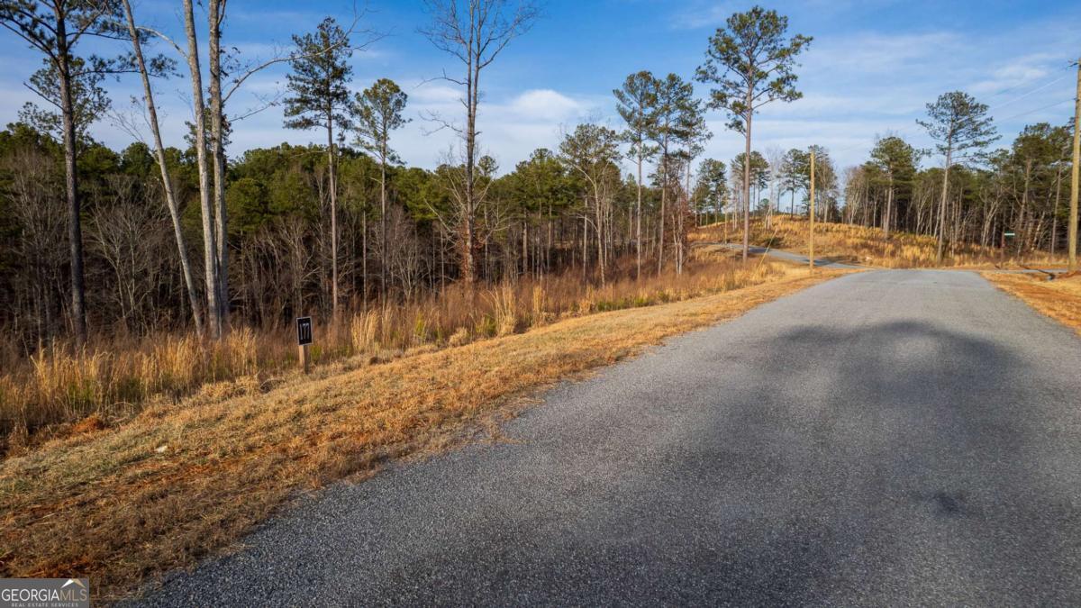 Lot 177 Shallow Water Way Talking Rock GA 30175