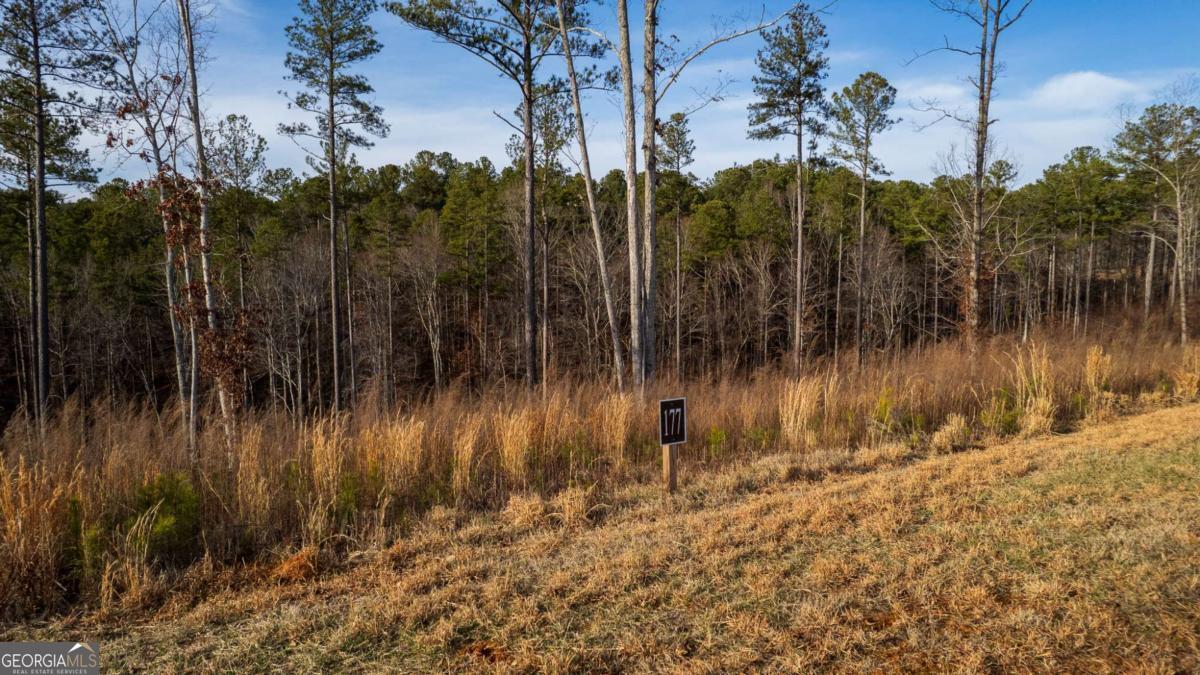 Lot 177 Shallow Water Way Talking Rock GA 30175