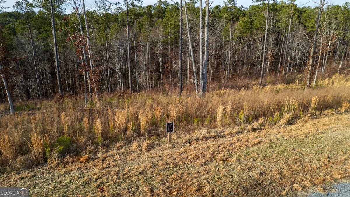 Lot 177 Shallow Water Way Talking Rock GA 30175