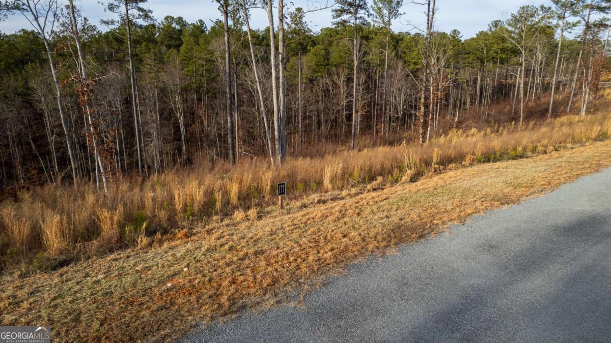 Lot 177 Shallow Water Way Talking Rock GA 30175