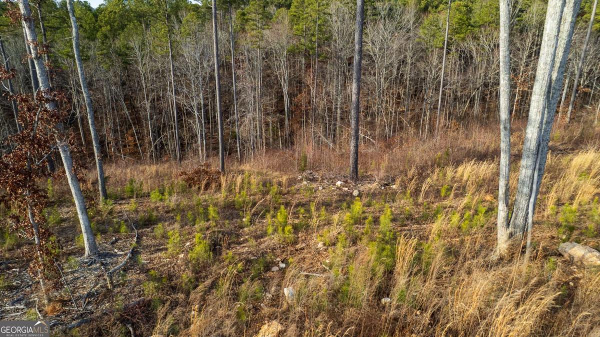 Lot 177 Shallow Water Way Talking Rock GA 30175