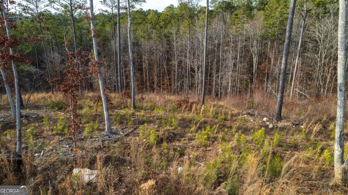Lot 177 Shallow Water Way Talking Rock GA 30175