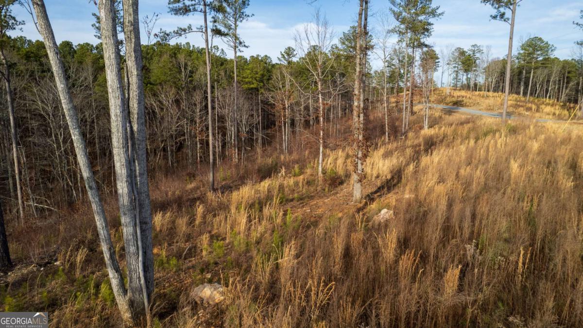 Lot 177 Shallow Water Way Talking Rock GA 30175