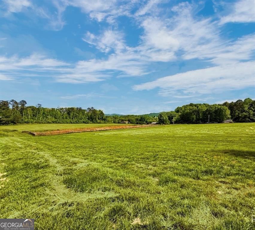 114 Palisade Drive Rydal GA 30171