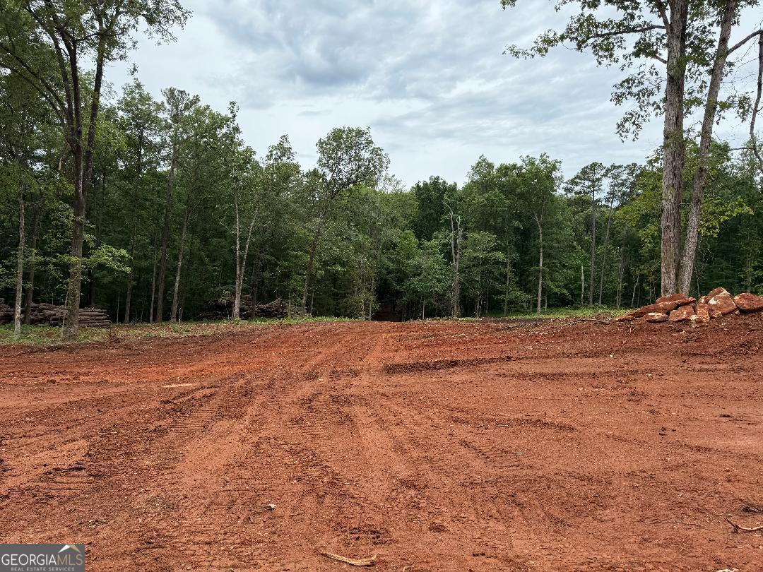 436 Magnolia Lane Forsyth GA 31029