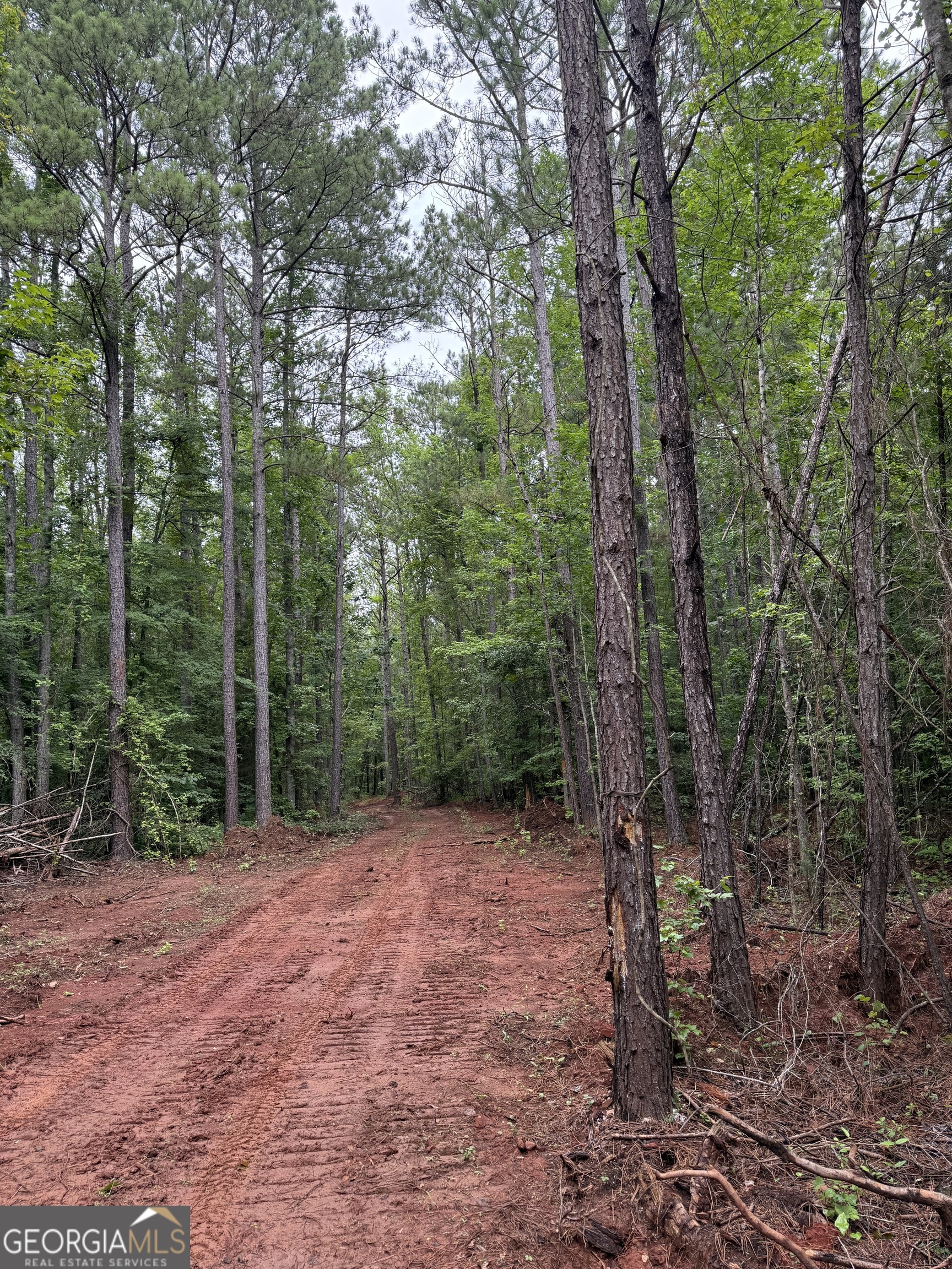 436 Magnolia Lane Forsyth GA 31029