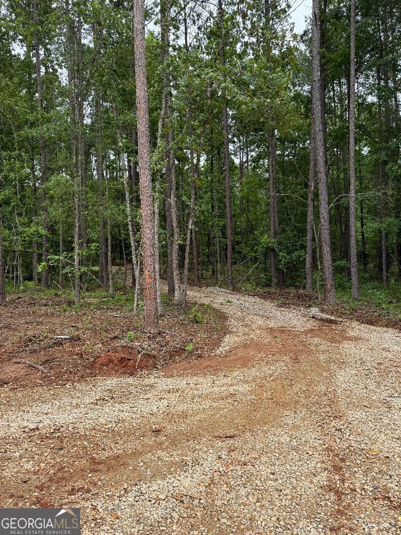 436 Magnolia Lane Forsyth GA 31029