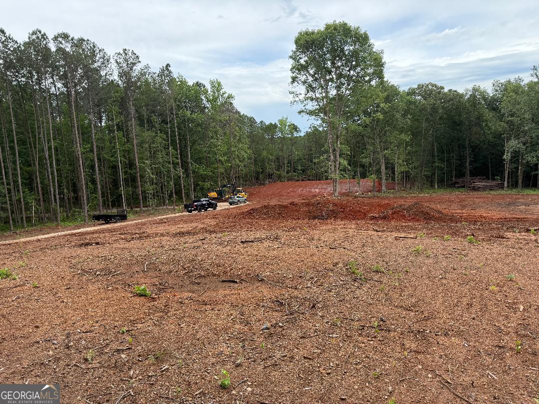 436 Magnolia Lane Forsyth GA 31029