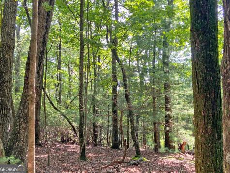 11AC T S Jarrard Road Dahlonega GA 30533