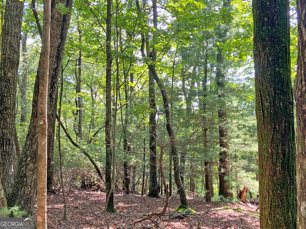 11AC T S Jarrard Road Dahlonega GA 30533