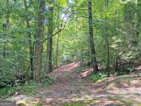 11AC T S Jarrard Road Dahlonega GA 30533