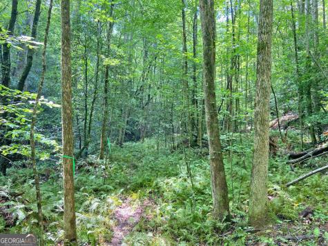 11AC T S Jarrard Road Dahlonega GA 30533