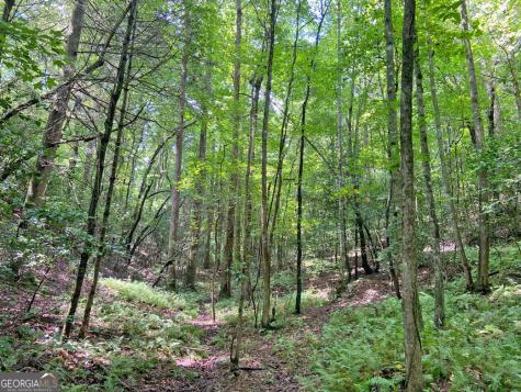 11AC T S Jarrard Road Dahlonega GA 30533