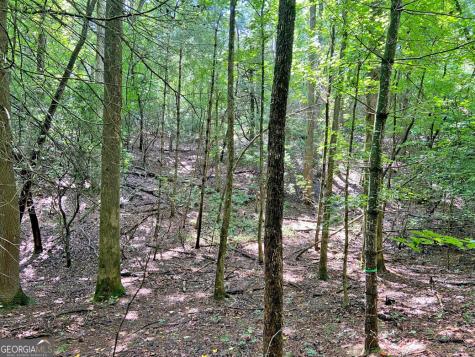 11AC T S Jarrard Road Dahlonega GA 30533