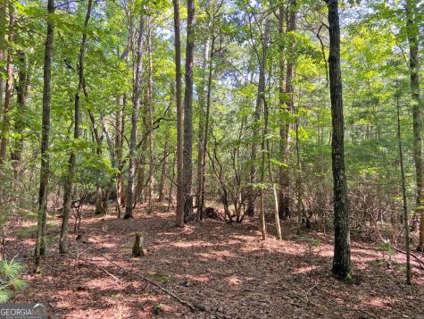 11AC T S Jarrard Road Dahlonega GA 30533