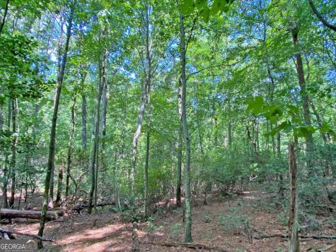 11AC T S Jarrard Road Dahlonega GA 30533