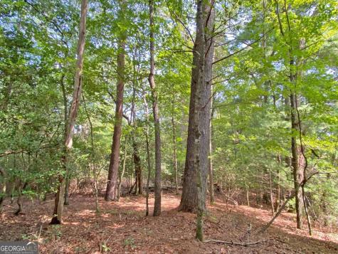 11AC T S Jarrard Road Dahlonega GA 30533