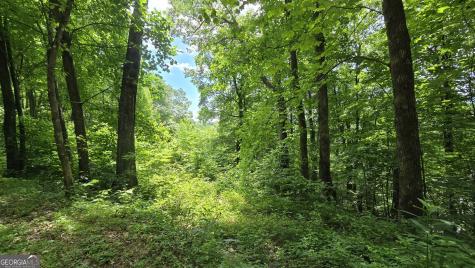 Lot 30 High Meadows Hayesville NC 28904
