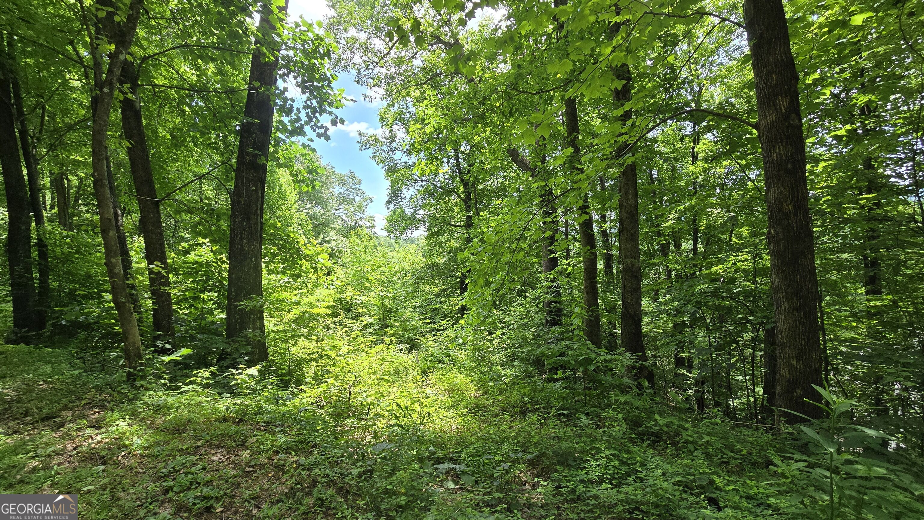 Lot 30 High Meadows Hayesville NC 28904