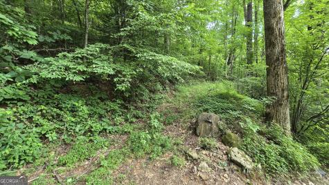 Lot 30 High Meadows Hayesville NC 28904