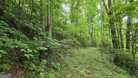 Lot 30 High Meadows Hayesville NC 28904