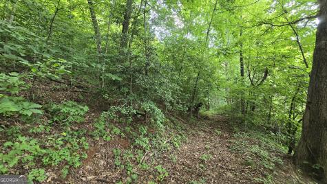 Lot 30 High Meadows Hayesville NC 28904