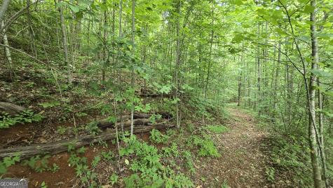 Lot 30 High Meadows Hayesville NC 28904