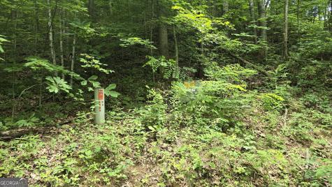 Lot 30 High Meadows Hayesville NC 28904