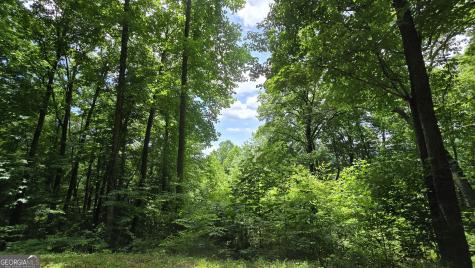 Lot 30 High Meadows Hayesville NC 28904