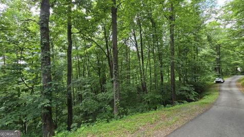 Lot 30 High Meadows Hayesville NC 28904