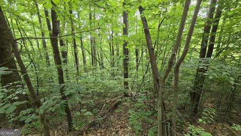Lot 30 High Meadows Hayesville NC 28904