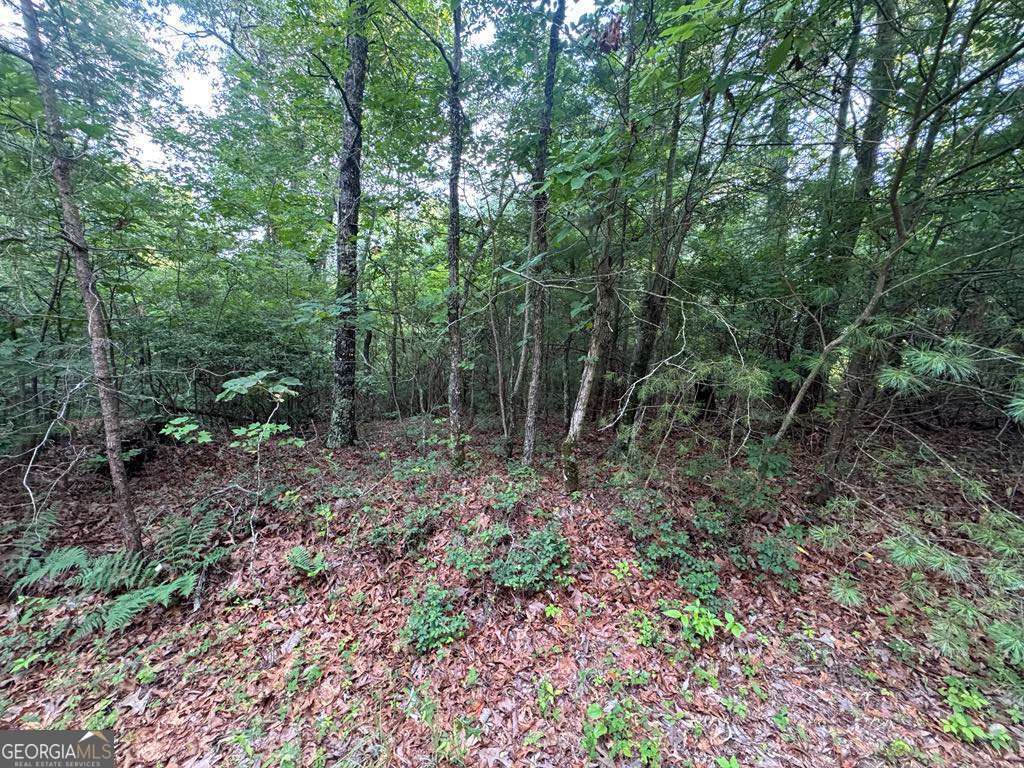 793 Woodbine Lane Ranger GA 30734