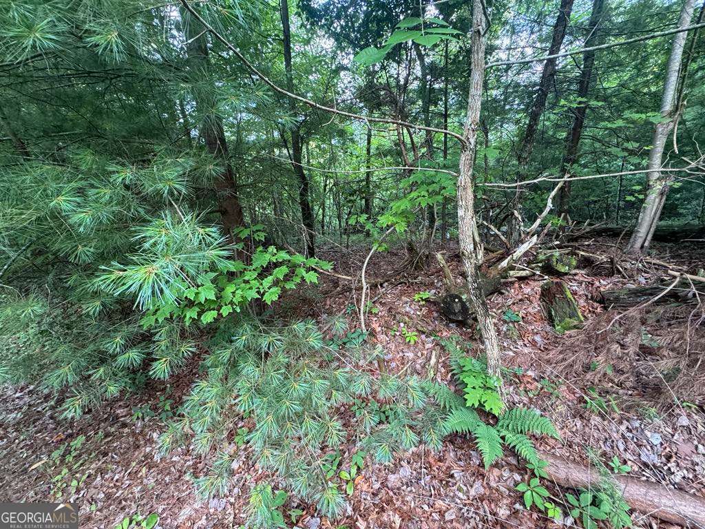 793 Woodbine Lane Ranger GA 30734