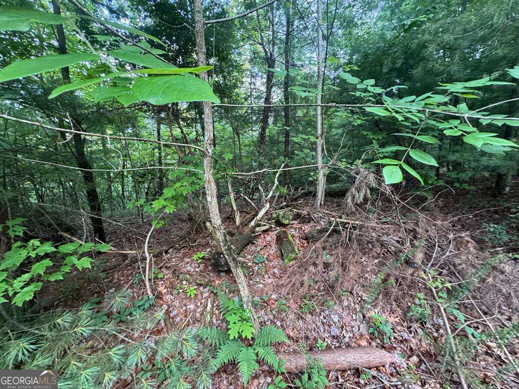 793 Woodbine Lane Ranger GA 30734