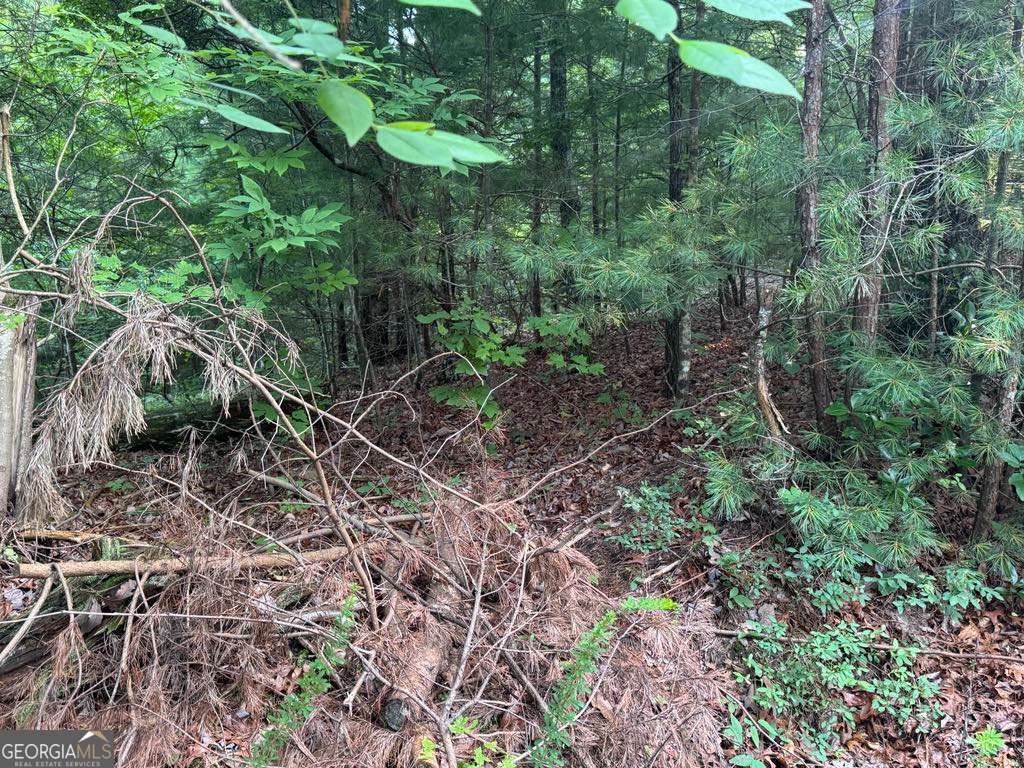 793 Woodbine Lane Ranger GA 30734