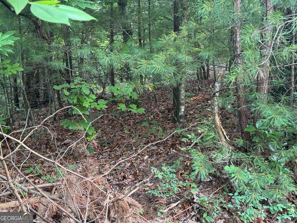793 Woodbine Lane Ranger GA 30734