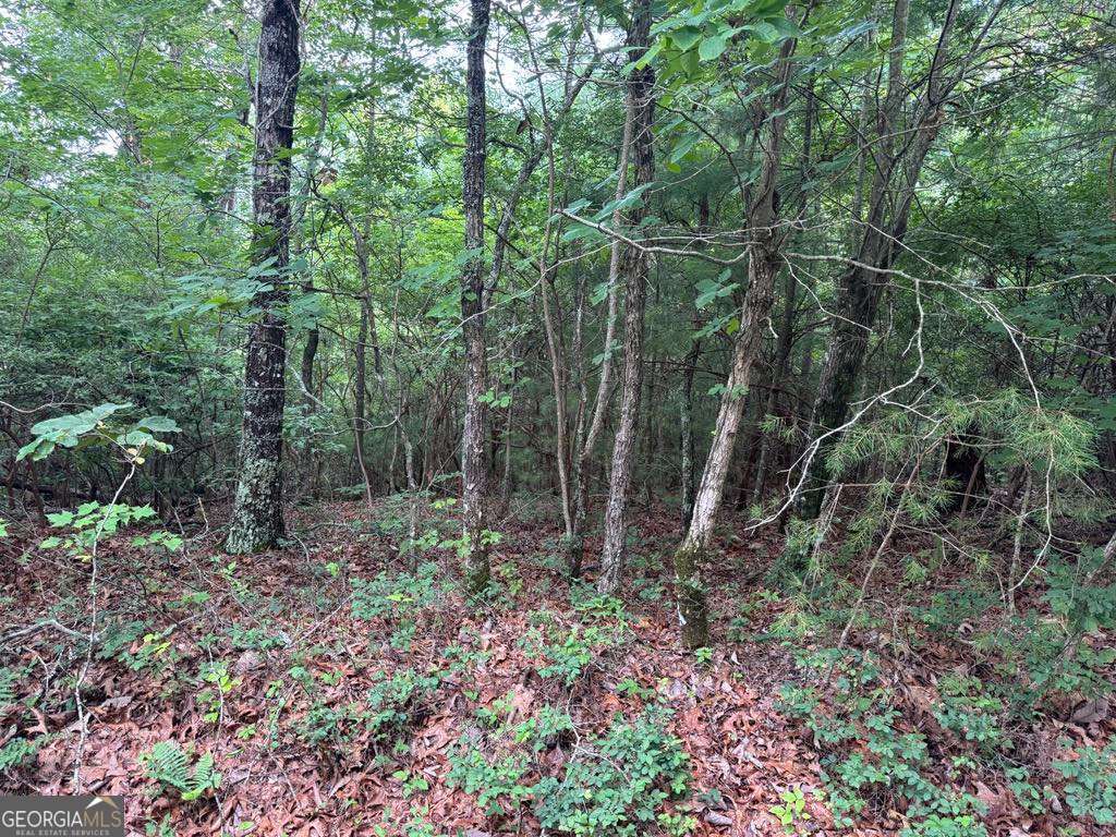 793 Woodbine Lane Ranger GA 30734