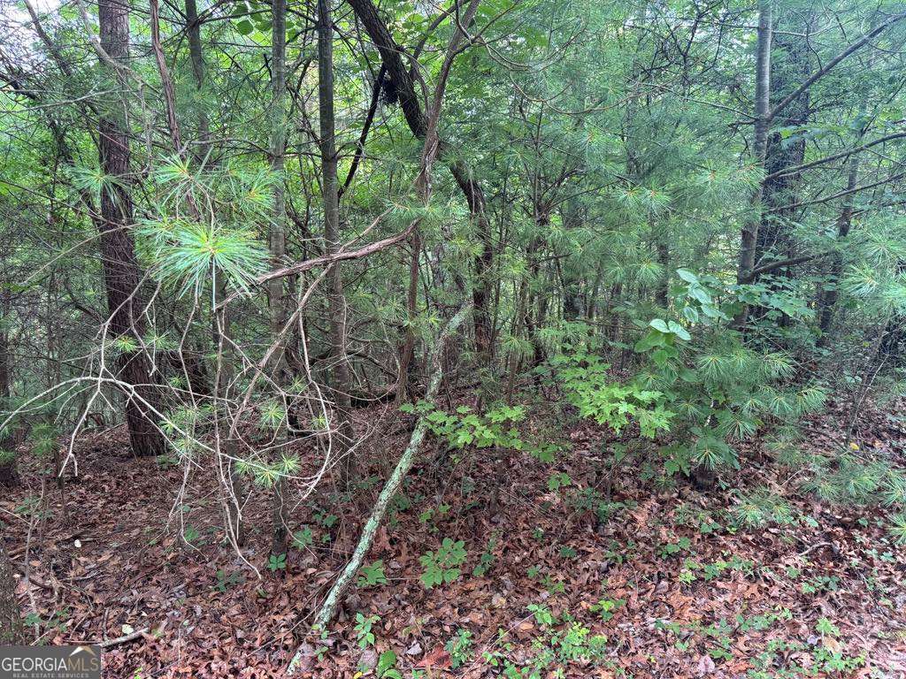 793 Woodbine Lane Ranger GA 30734