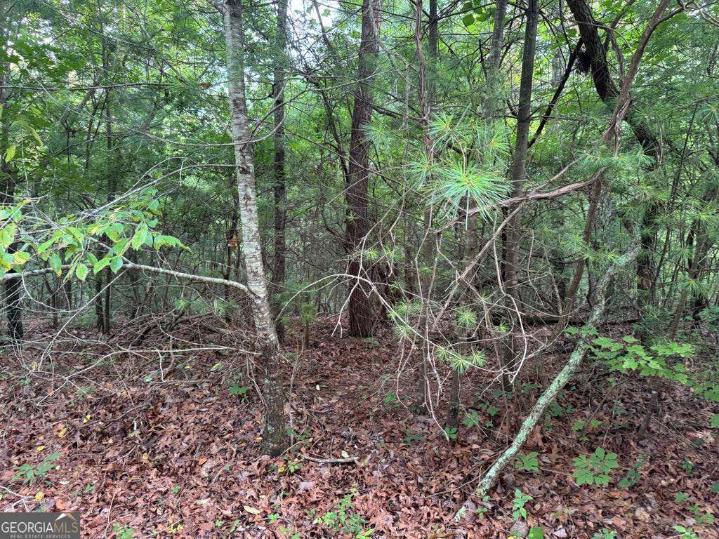 793 Woodbine Lane Ranger GA 30734