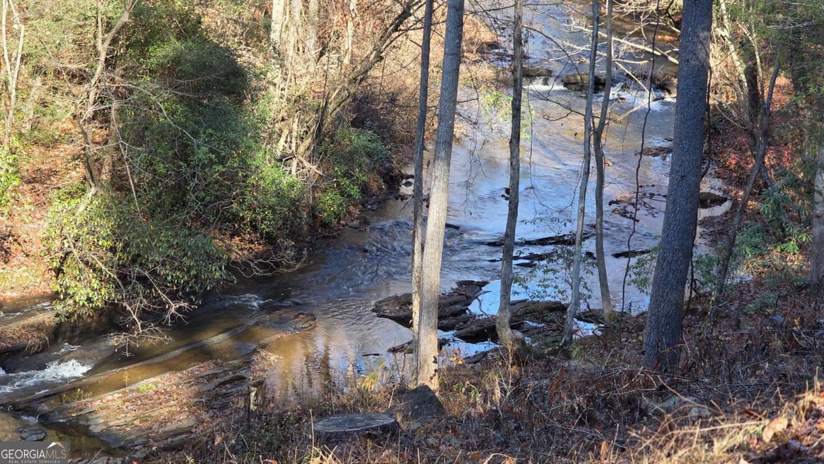0 Dell Moore Road Marble Hill GA 30148