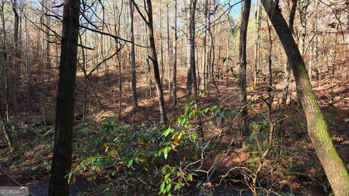 0 Dell Moore Road Marble Hill GA 30148