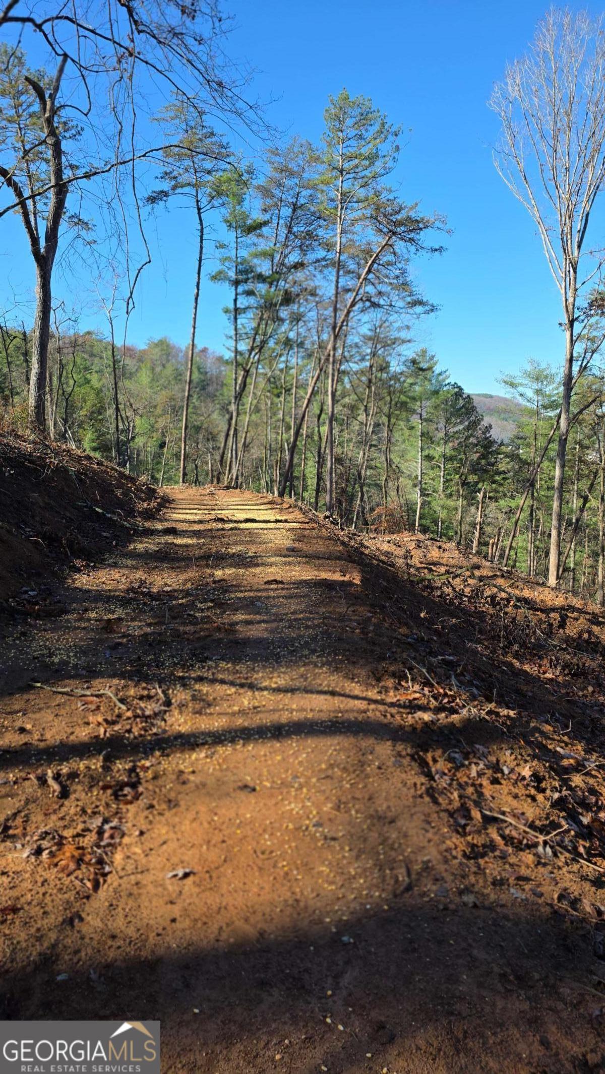 0 Dell Moore Road Marble Hill GA 30148