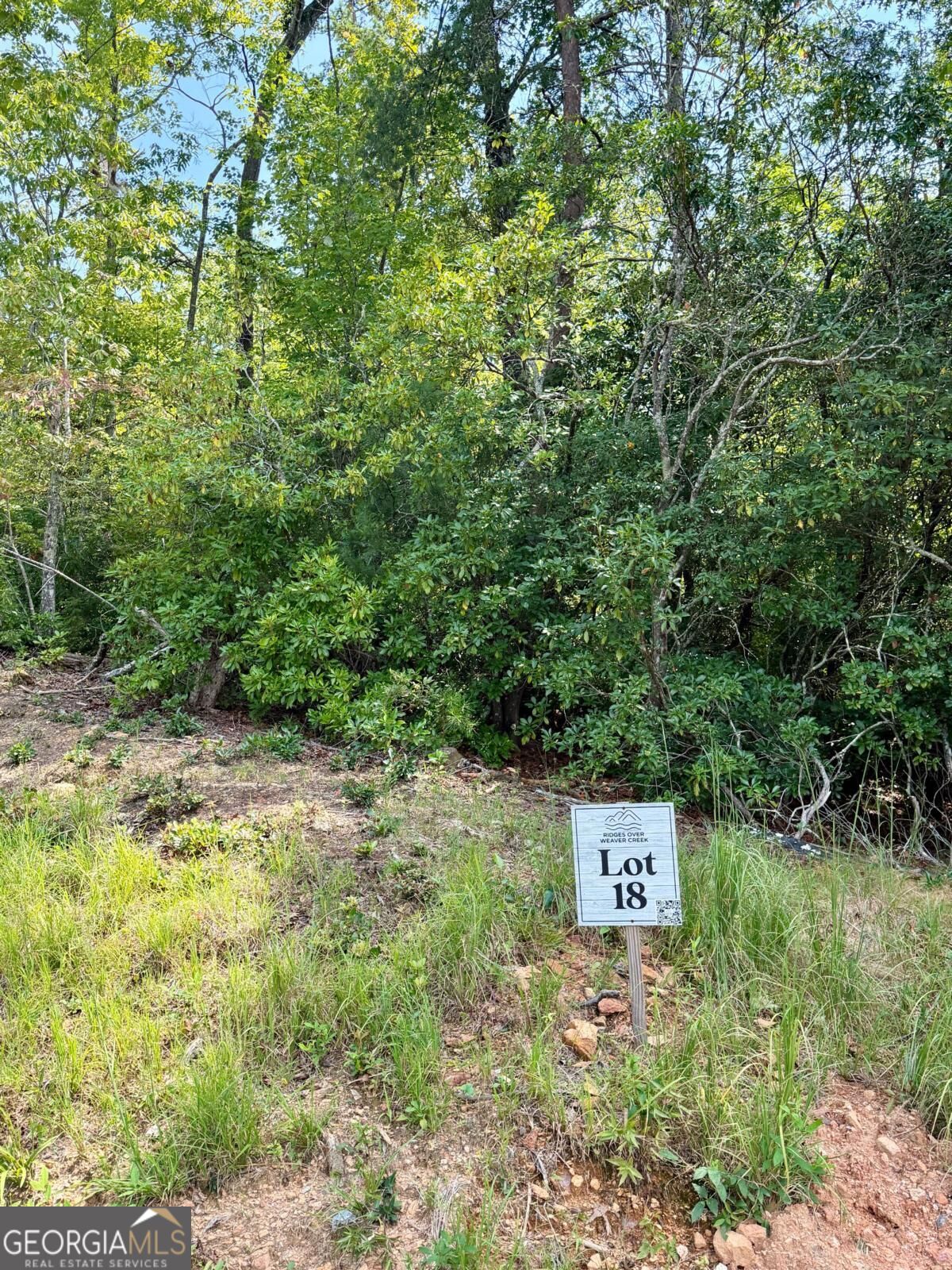 Lot 18 Turquoise Ridge Blue Ridge GA 30513