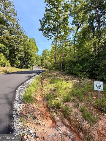 Lot 18 Turquoise Ridge Blue Ridge GA 30513