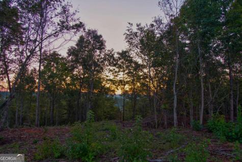 6.7 Grateful View Drive Dahlonega GA 30533