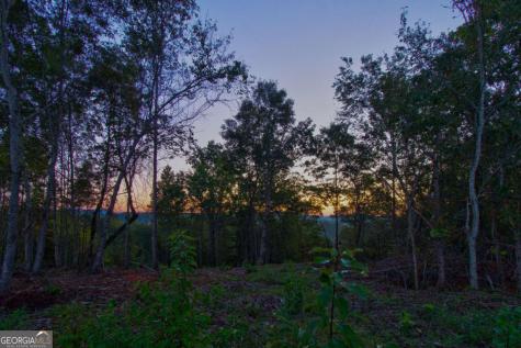 6.7 Grateful View Drive Dahlonega GA 30533